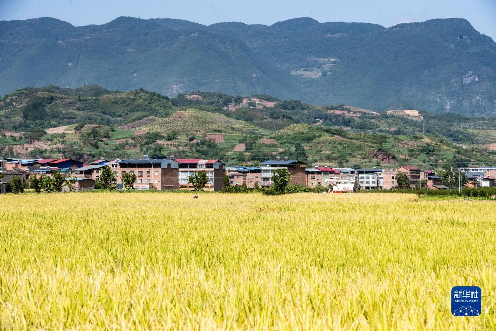 进入平台登录账号